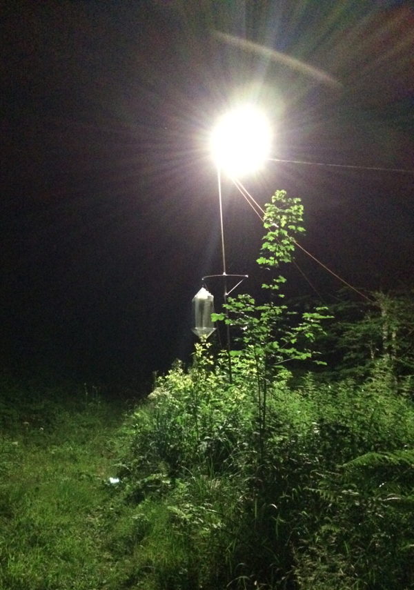 A mobile LED lamp installed in a remote meadow.