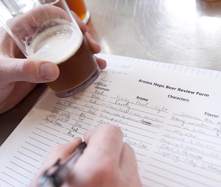 A beer survey is filled out by a taste-test volunteer.