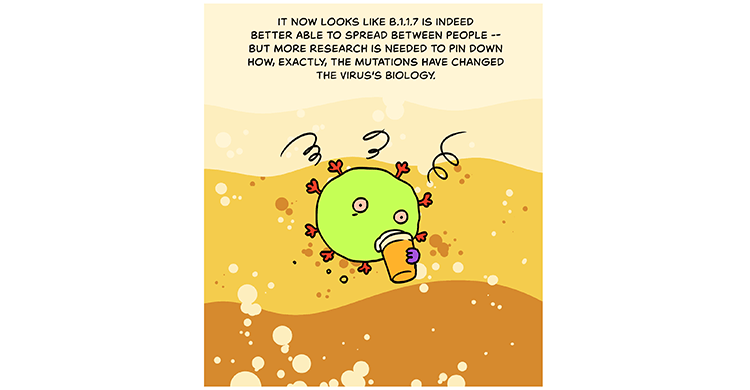 Comic illustration of a coronavirus sipping on some orange juice. Caption: It now looks like B.1.1.7 is indeed better able to spread between people — but more research is needed to pin down how, exactly, the mutations have changed the virus’s biology. 