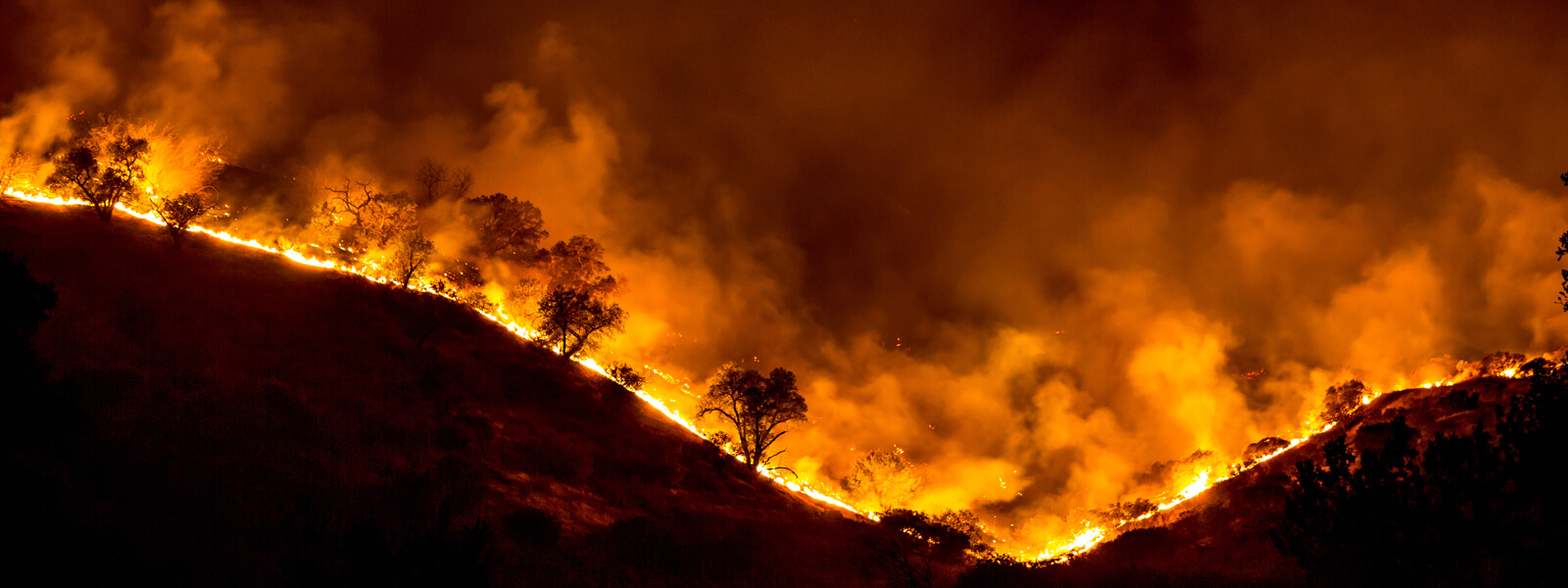 Firenadoes and drifting embers: The secrets of extreme wildfires