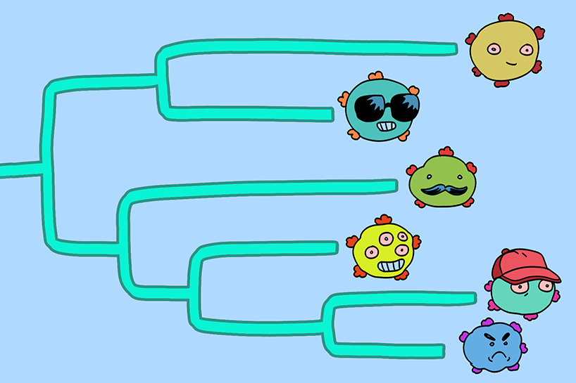 A panel from a Knowable Magazine comic about Covid-19 variants. The panel shows a family tree with six cartoon images of the coronavirus at the end of the tree — they are different colors; one is wearing sunglasses; another wears a baseball hat; some are smiling and one is frowning.