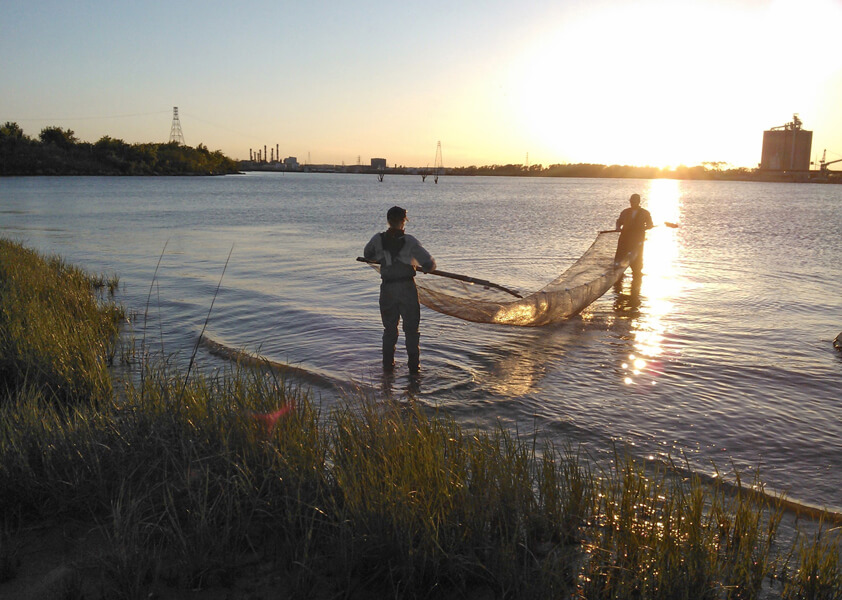 Photograph of two people standing in shallow water, each holding the end of a large net. Industrial buildings can be seen on the other side of the waterway.