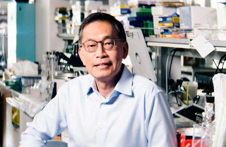 A photograph of researcher Chi Van Dang, who believes that cancer treatments will be more effective and less toxic if we factor in the body's circadian rhythms.