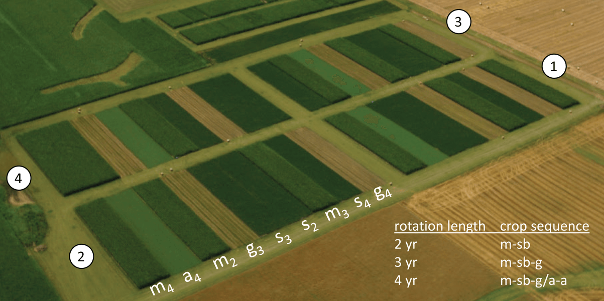 Aerial photograph shows narrow plots of corn, soybeans, oats and alfalfa growing at Iowa State University’s Marsden Farm where agronomists are testing how crop rotations and low levels of synthetic inputs affect yields. The more diverse crop rotations had yields that were equal to or better than the conventional system, despite receiving fewer synthetic inputs like herbicides and fertilizers.