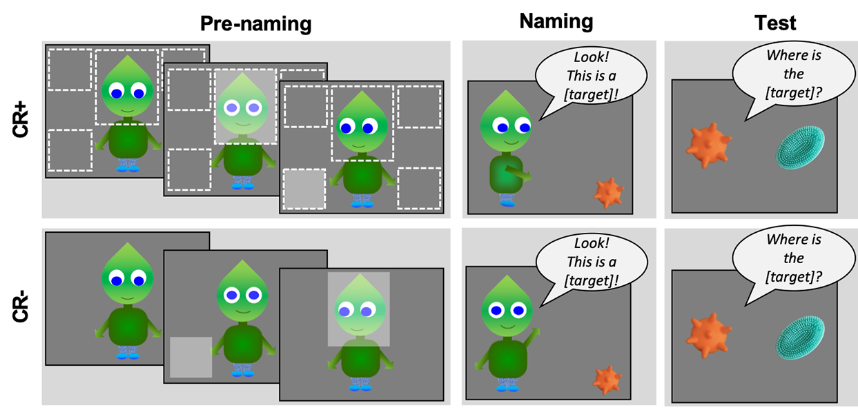 graphic explains an experiment on how AI can assist babies in learning the names of objects. Top panels describe the experiment with interactive AI; bottom panels are the control group.
