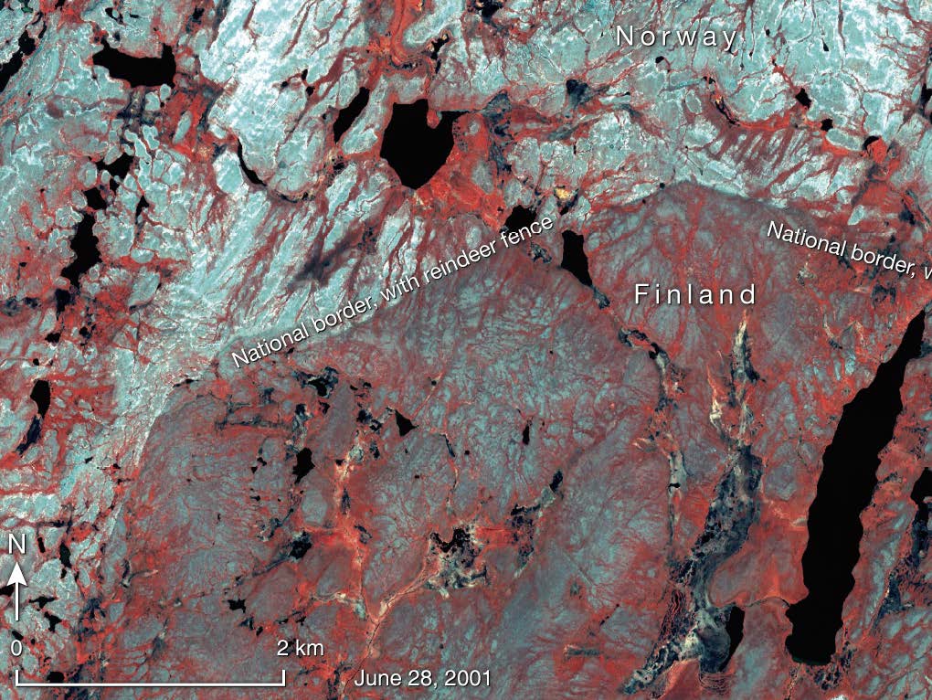 A satellite image shows how a decades' old fence erected between Finland and Norway affected Arctic vegetation by altering the movement of reindeer herds.