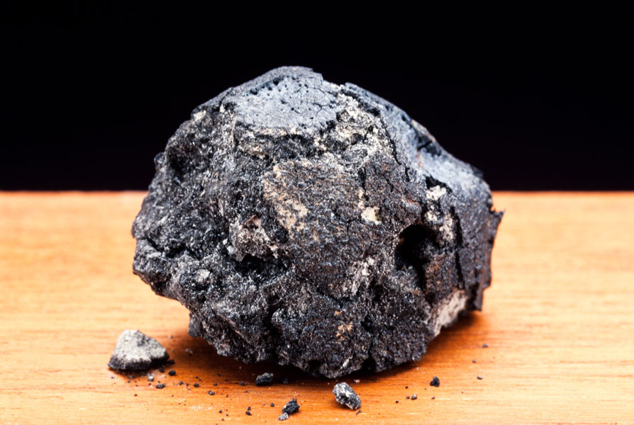 Photo of orgueil meteorite.
