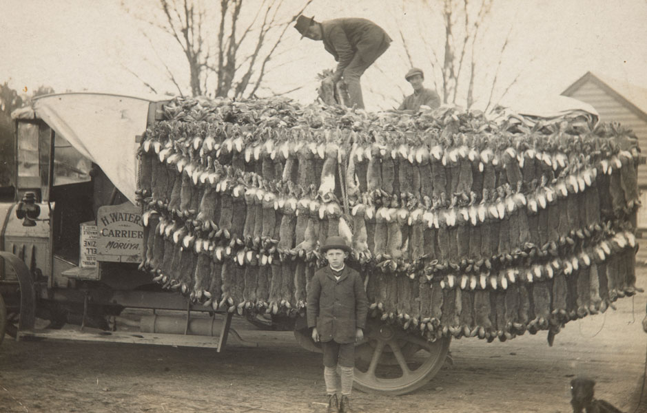 A boy stands in front of a truck loaded with dead rabbits in Australia.