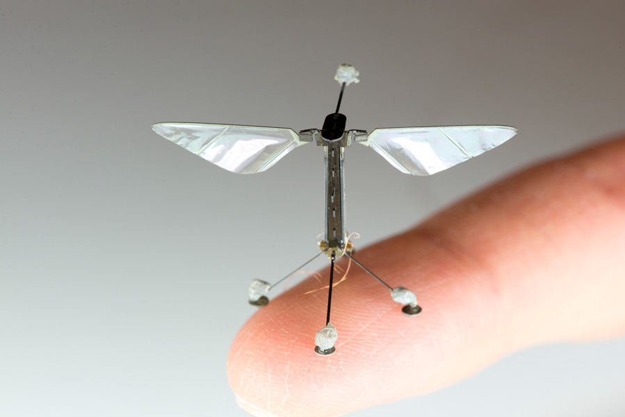 An image of a small flying vehicle fitting on someone’s fingertip. It looks like a mechanical insect.