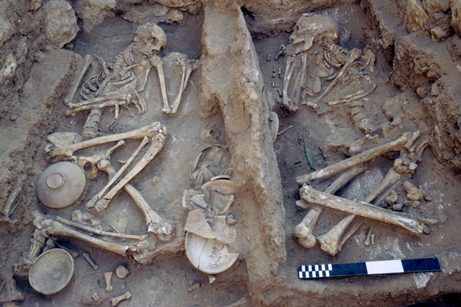 Skeletons of two men who were buried in a tomb at the site of the ancient city of Umm el-Marra, in present-day Syria. They may have been sacrificed.