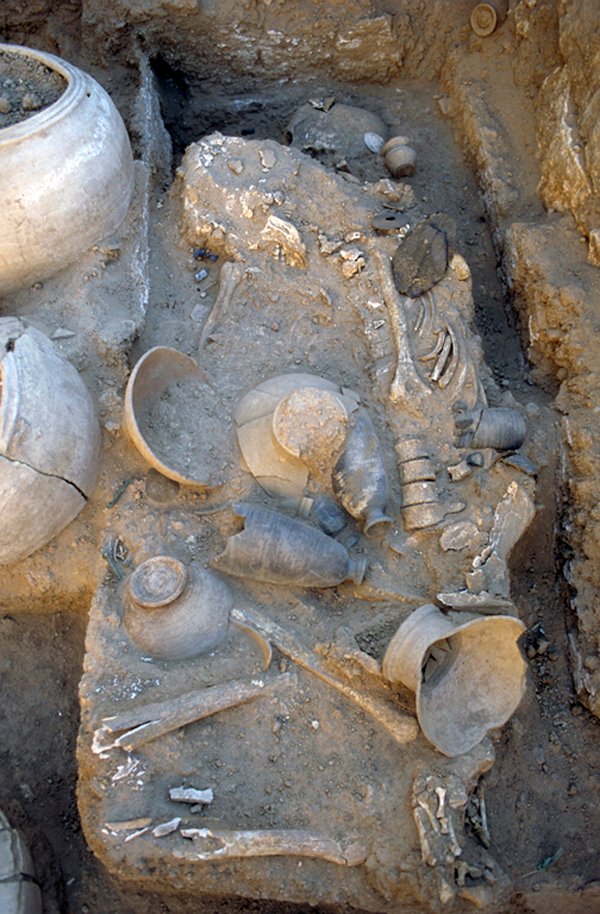Skeleton of a woman in a tomb at the site of the ancient city Umm el-Marra, in present-day Syria. A baby lies near her left knee, hidden by pottery vessels in this photograph. A gold pendant was found at her neck — a sign that she was high-status.