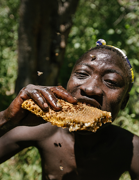 An African hunter-gatherer eating honeycomb, surrounded by bees.