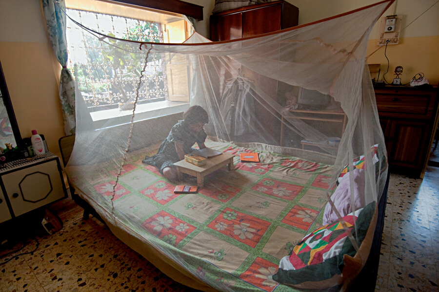 A young girl in West Bengal, India, sits in a bed net. Insecticide-treated bed nets, often the first line of defense in protecting people from the mosquitoes that transmit malaria.