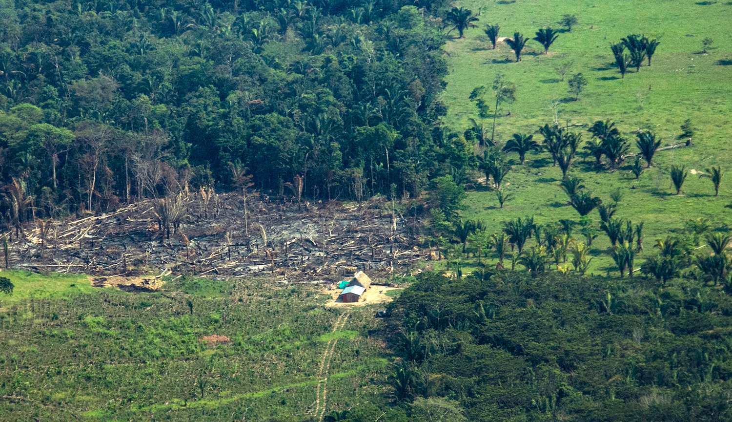 Panoramic image of a fragment of Amazon forest with sectors of tree-covered and deforested land as well as a section with remains of forest that was burned.