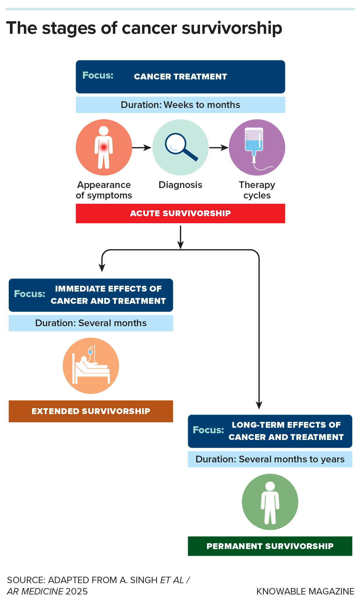 Stages Graphic showing the stages of cancer survivorship