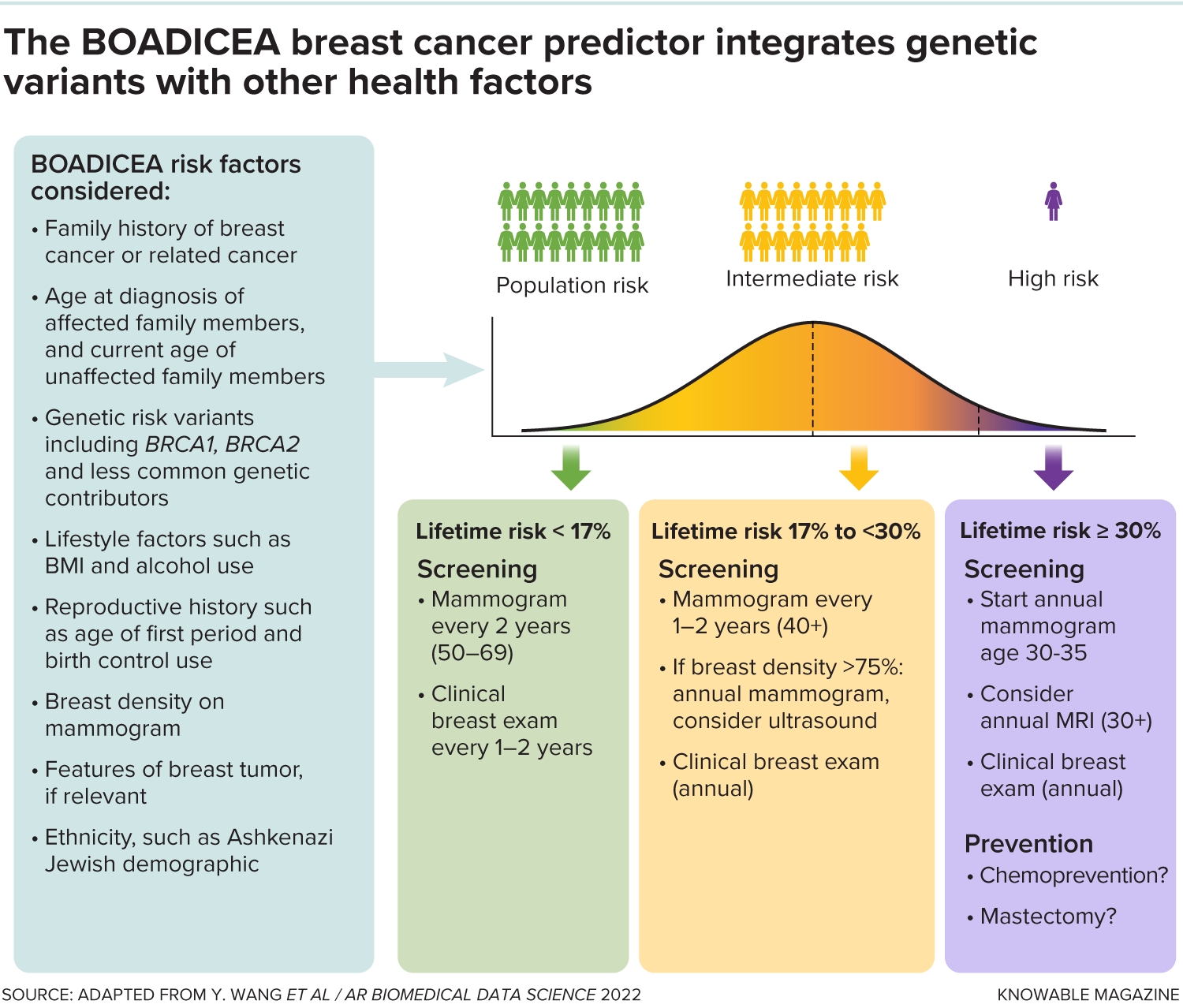 Lists factors in the BOADICEA breast cancer predictor: family history, age, genetic variants, lifestyle, reproductive history, breast density, tumor features and demographic group. Preventive measures are listed for lifetime risk of under 17%, 17% to 30% and 30% and over.