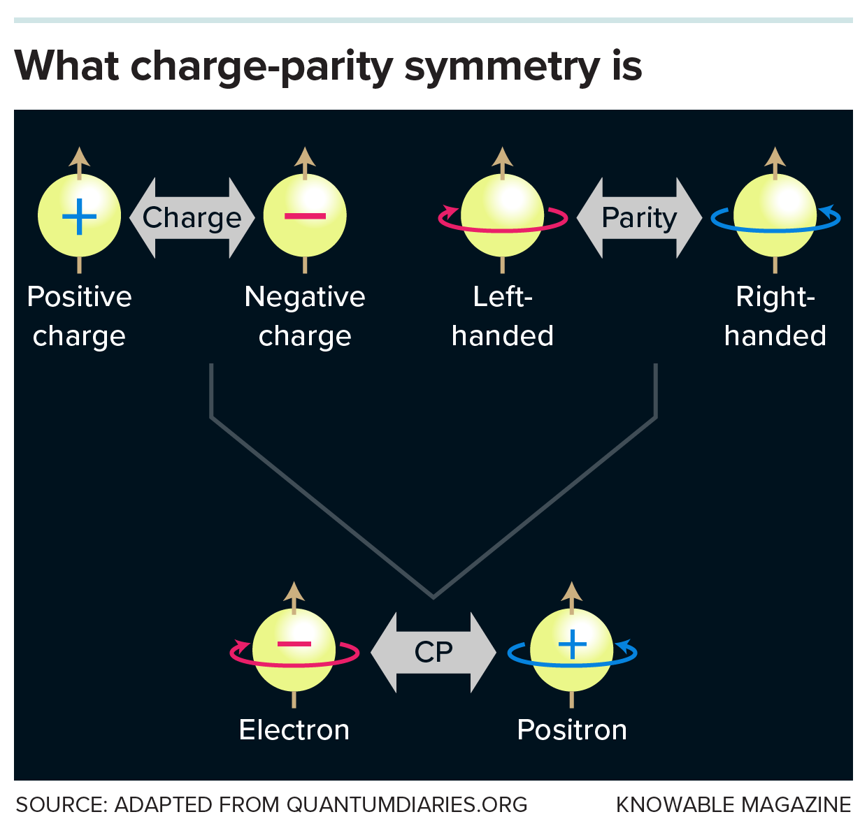 CP symmetry Graphic illustrating charge-parity symmetry.