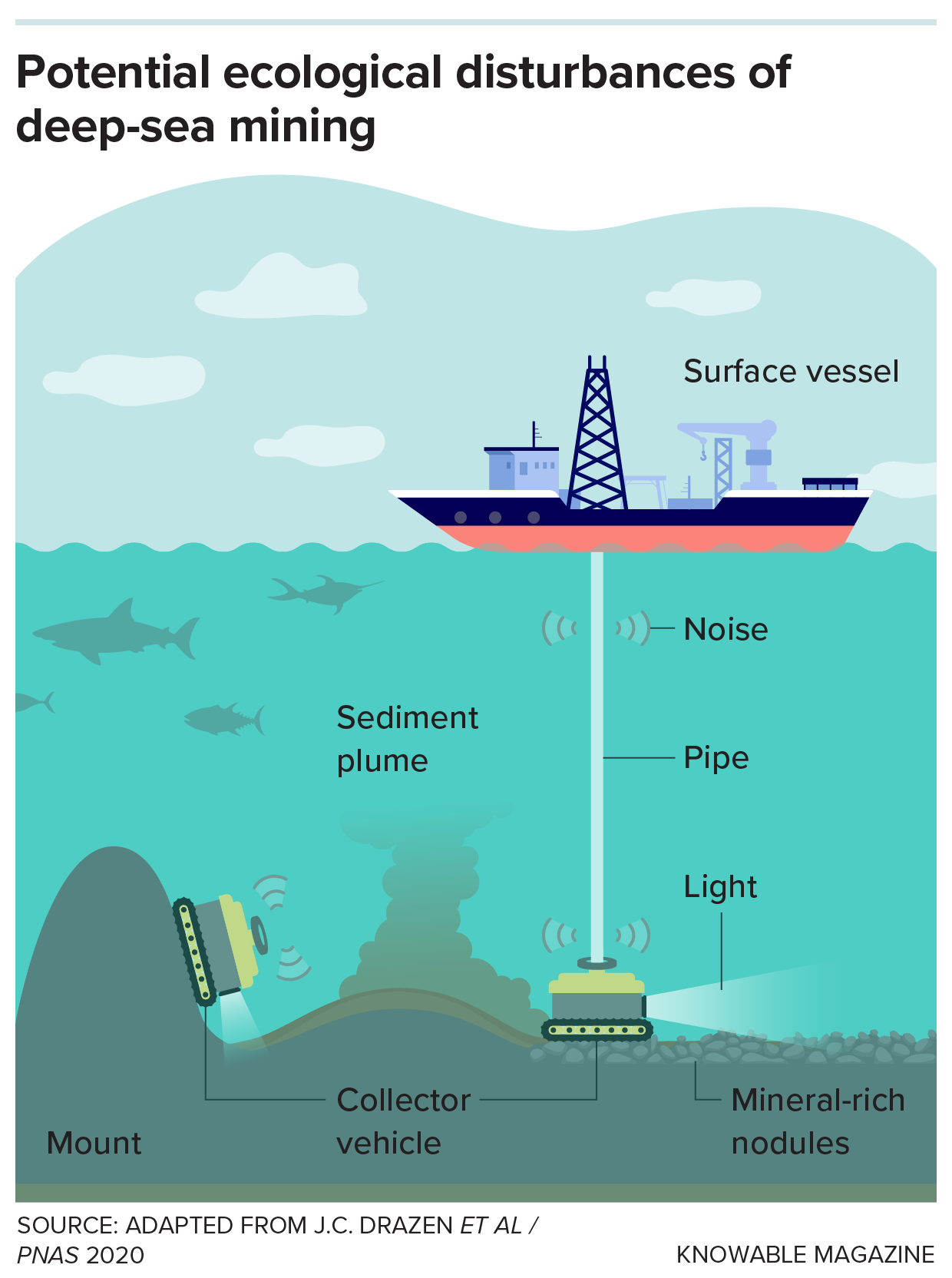 Deep-sea mining A graphic depicts the basic setup for deep-sea mining and highlights some of the environmental disturbances that concern researchers.