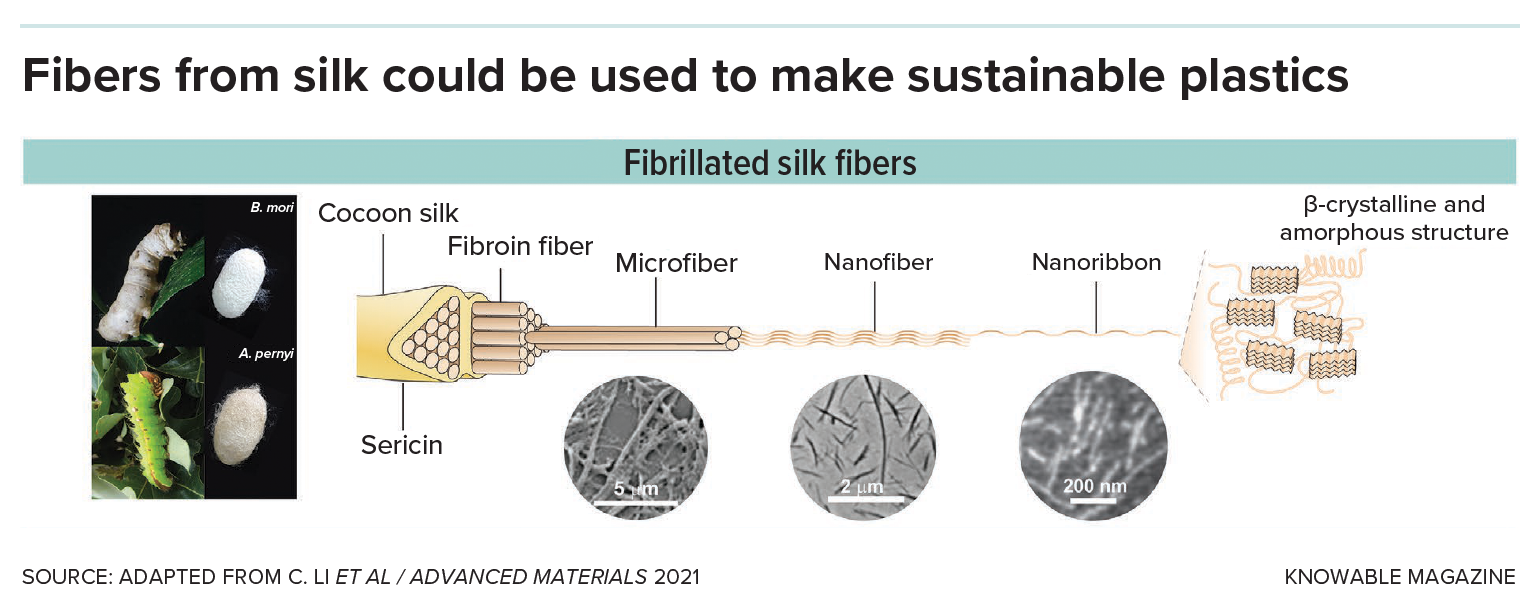 A graphic shows the fine structure of silk fibers.