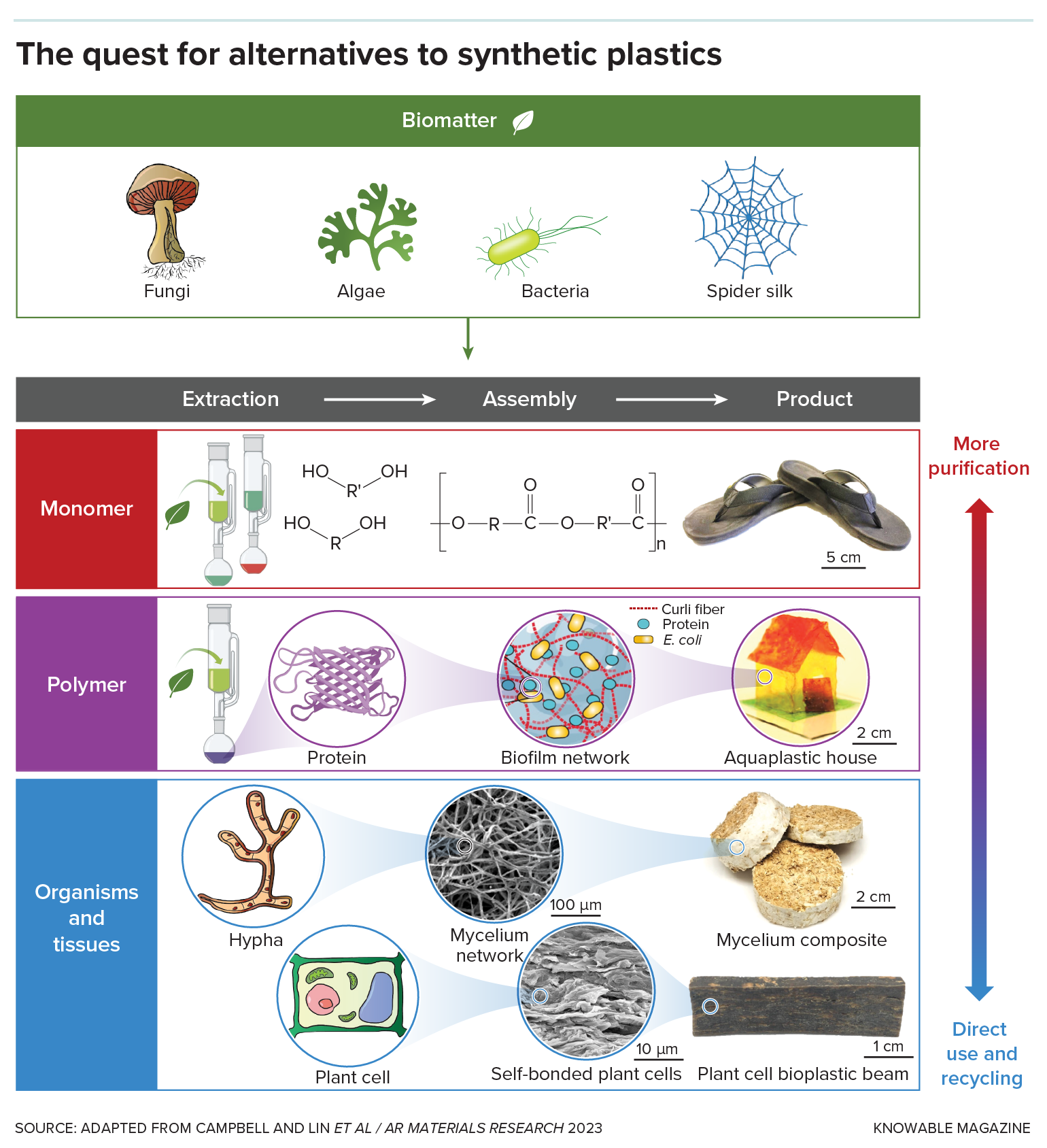 Graphic shows different strategies for creating biopolymers from natural materials.