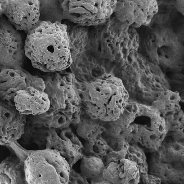 Gelatin sphere Gray, porous blob