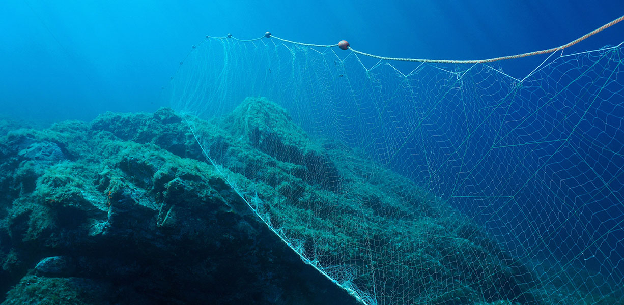 Gillnet A long net hangs like a curtain along the ocean floor