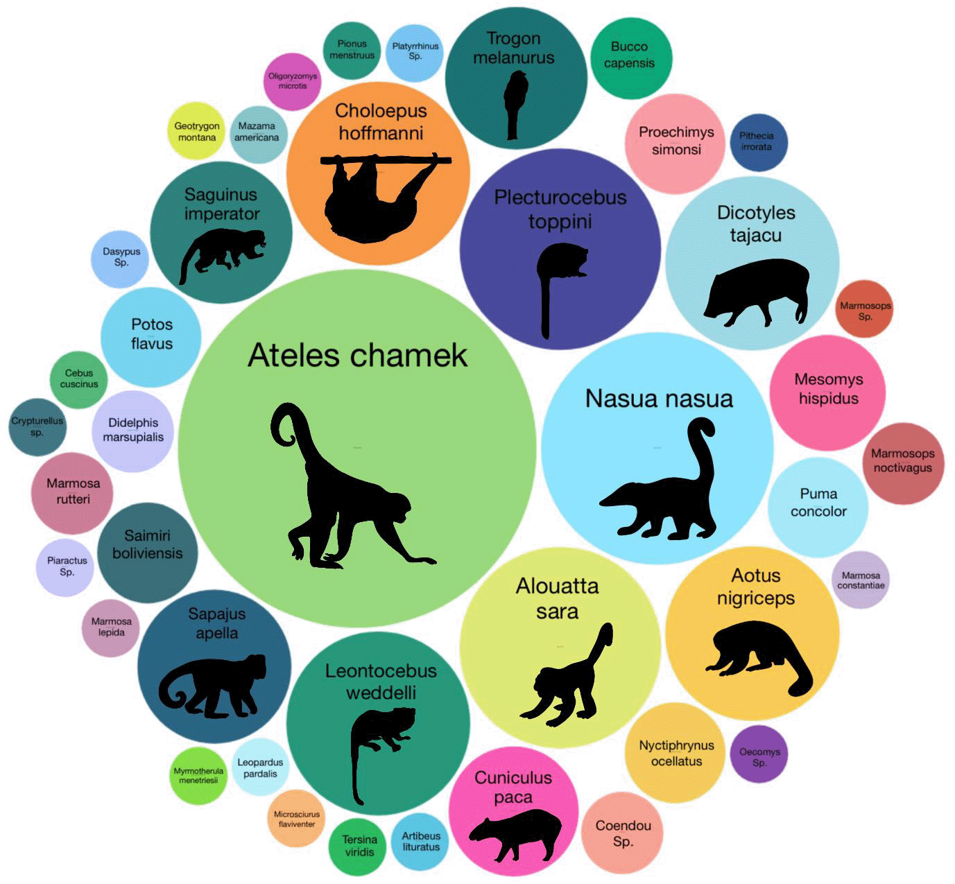 Hidden hosts exposed Graphic of different-sized circles, each representing a species of mammal detected by collecting DNA from dung beetles.