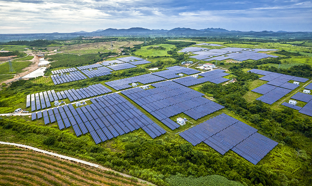 A rural landscape covered by solar panels.