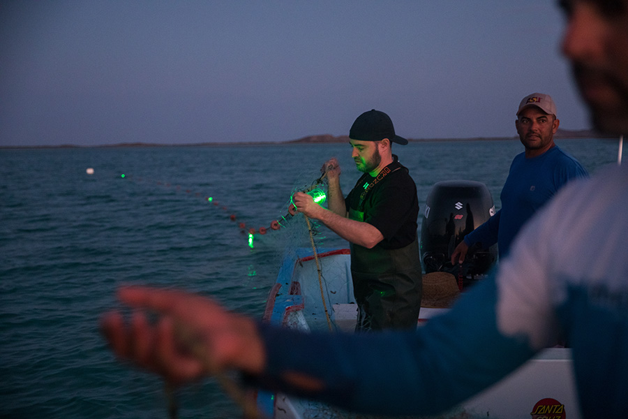 Solar-powered illuminated nets People stand on a boat in the dark holding nets with lights attached at intervals.