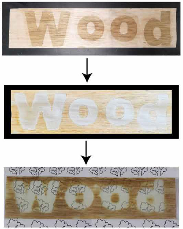 Three panels show the word ‘wood’ written across regular wood, bleached wood and see-through wood