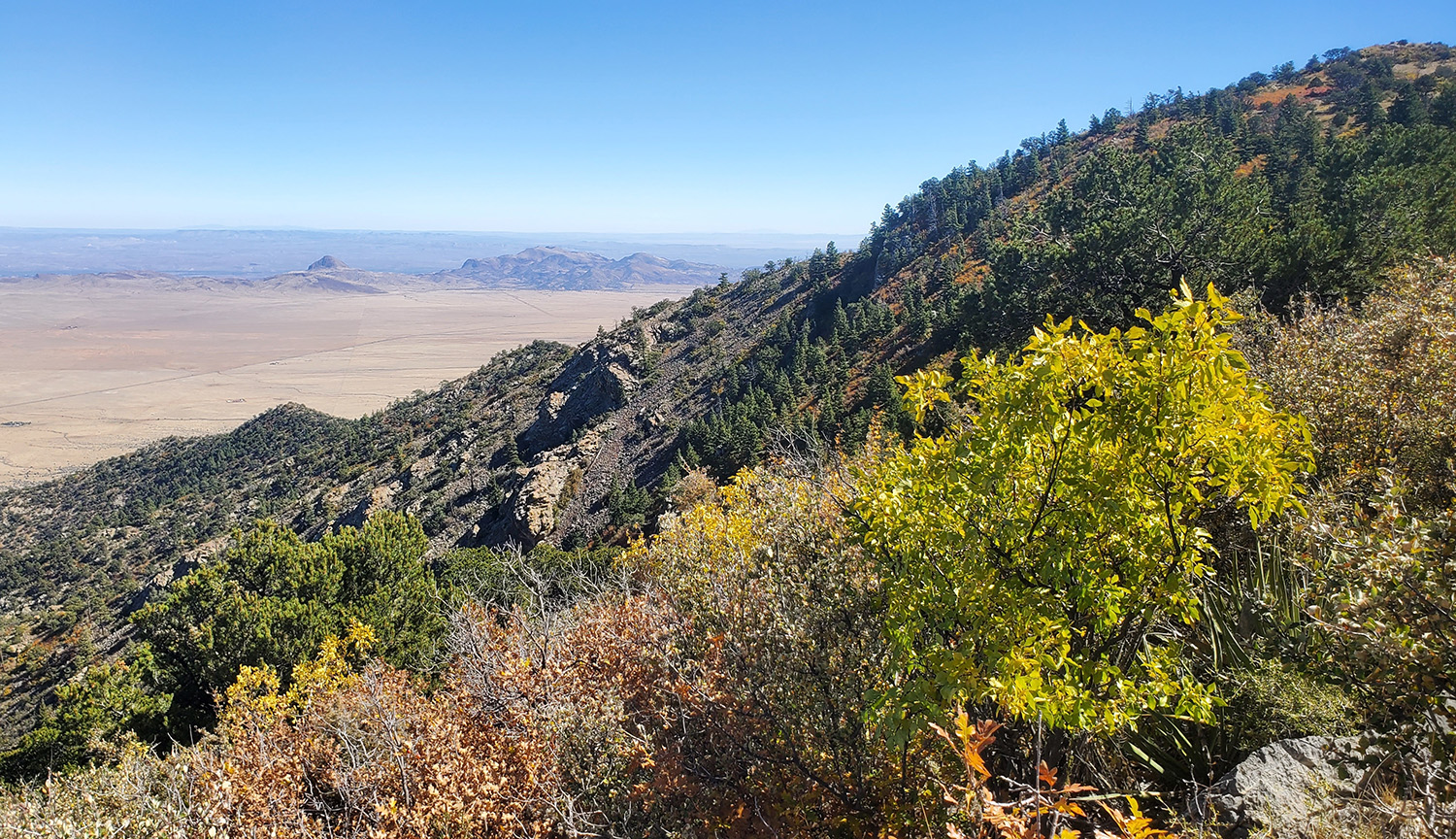 Photograph of vegetation-covered mountain rising above desert lowlands.